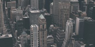 Zasady odpowiedzialności członków organów prostej spółki akcyjnej